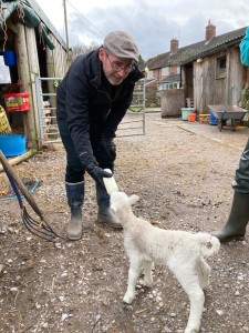 Fr Murray feeding lamb